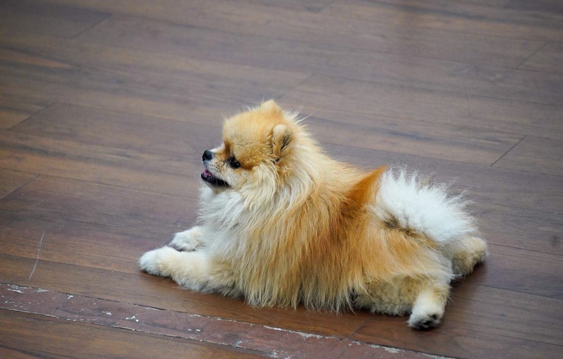 Pourquoi il faut éviter la bombe colorante avant ton rendez-vous couleur