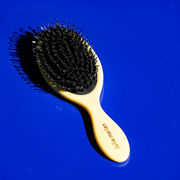 Brosse Brillance & Soin Julie Merian