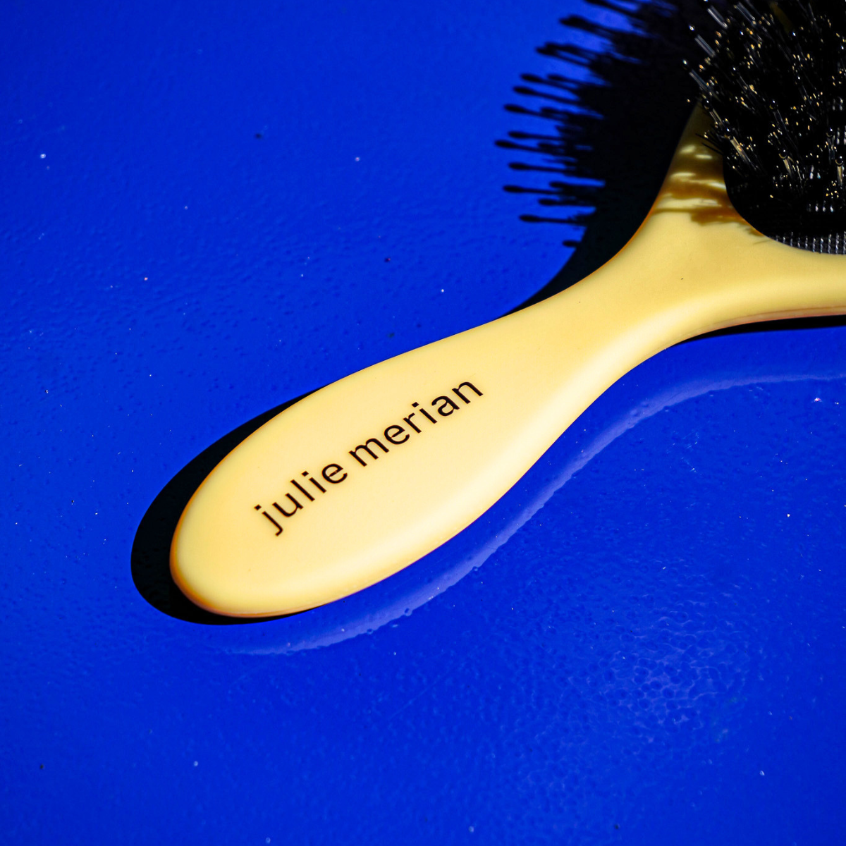 Brosse Brillance & Soin Julie Merian