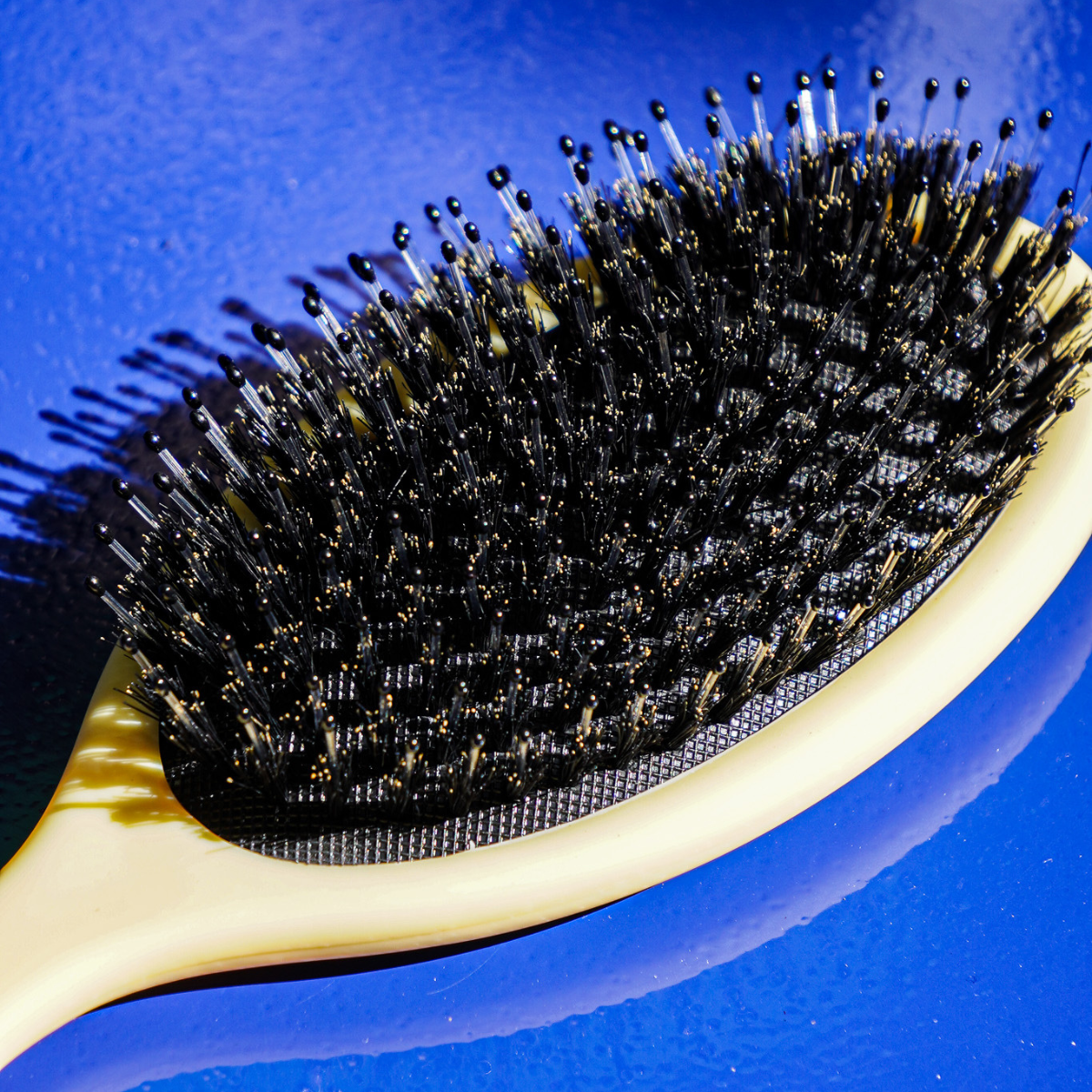 Brosse Brillance & Soin Julie Merian