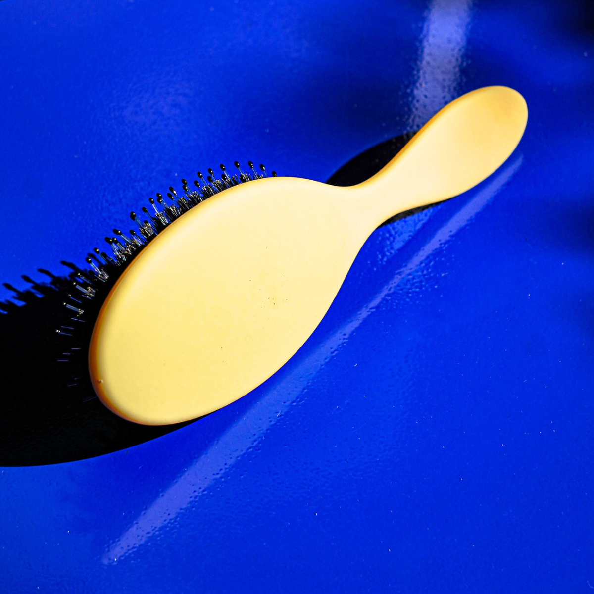 Brosse Brillance & Soin Julie Merian