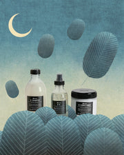 Coffret OI