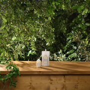 LOVE CURL Éco-recharge Shampoo